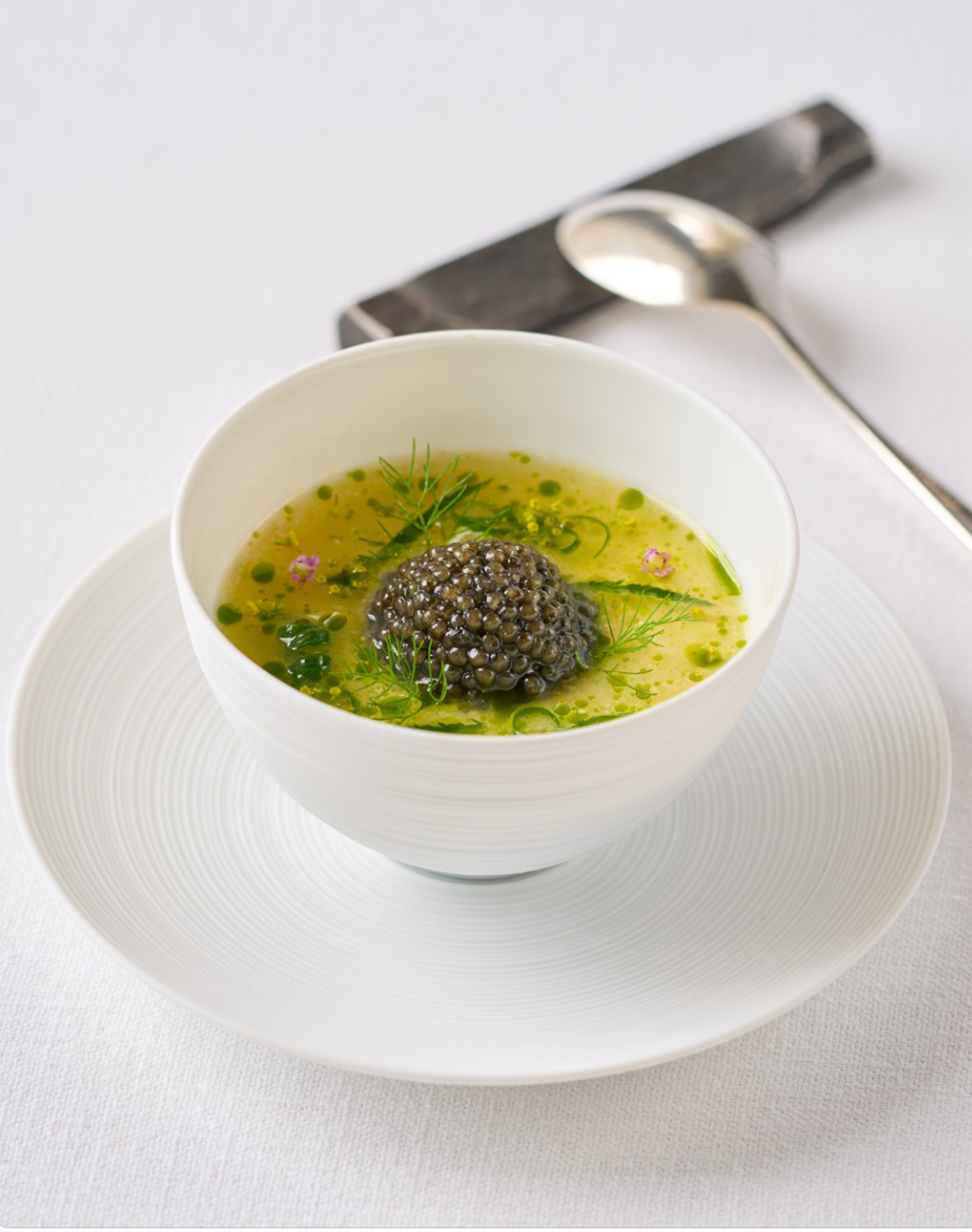 Ruby Eyed Fox Dish