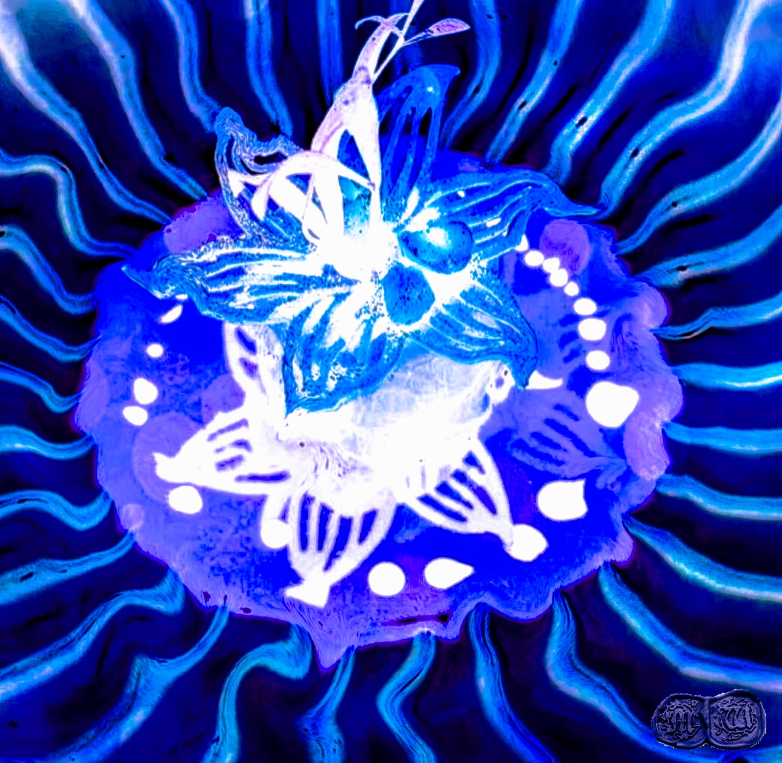 Jellyfish Psychedelic — ROSC ART